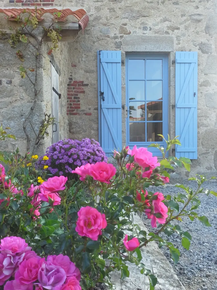 espaces verts (17)