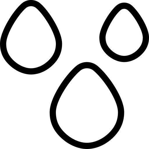 jeux d'eau.webp