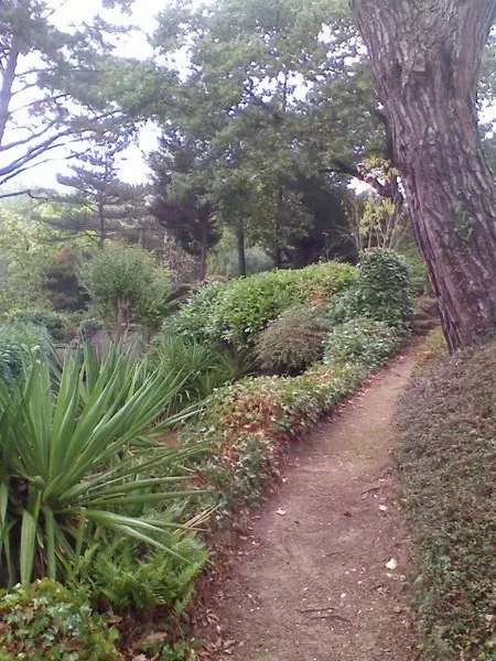 Jardin