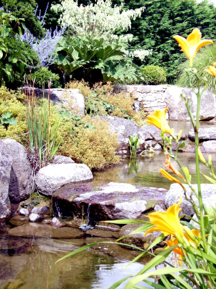 Bassin paysagiste
